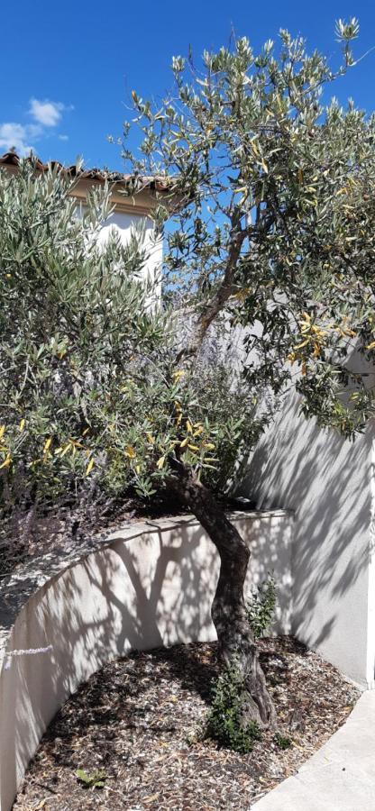 Villa Jasmin Régusse Exteriér fotografie