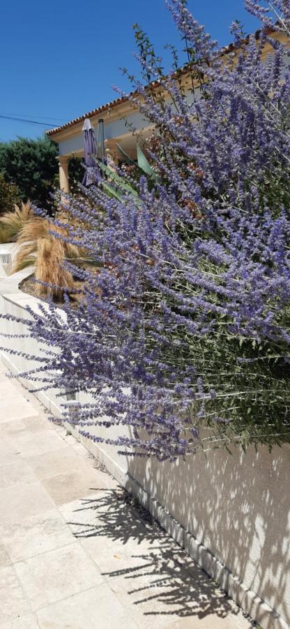Villa Jasmin Régusse Exteriér fotografie
